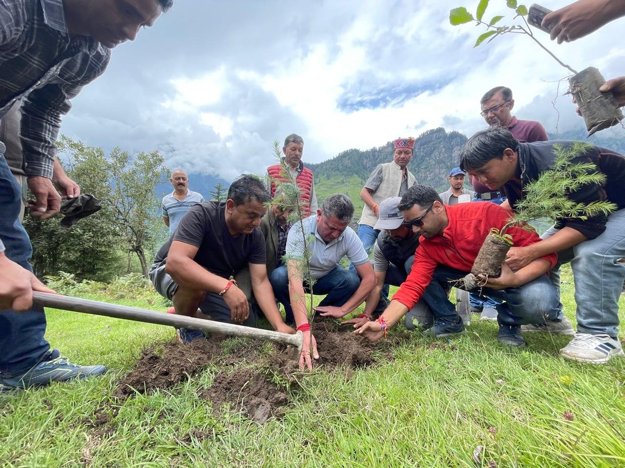 Plantation in Kothi