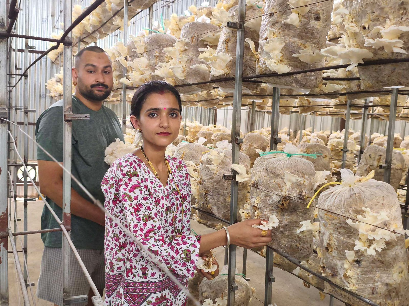 Agriculture News Mushroom Farming