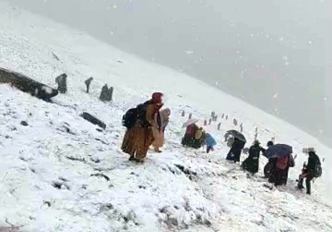 Himachal News Lahaul Drilbu Ri Tragedy