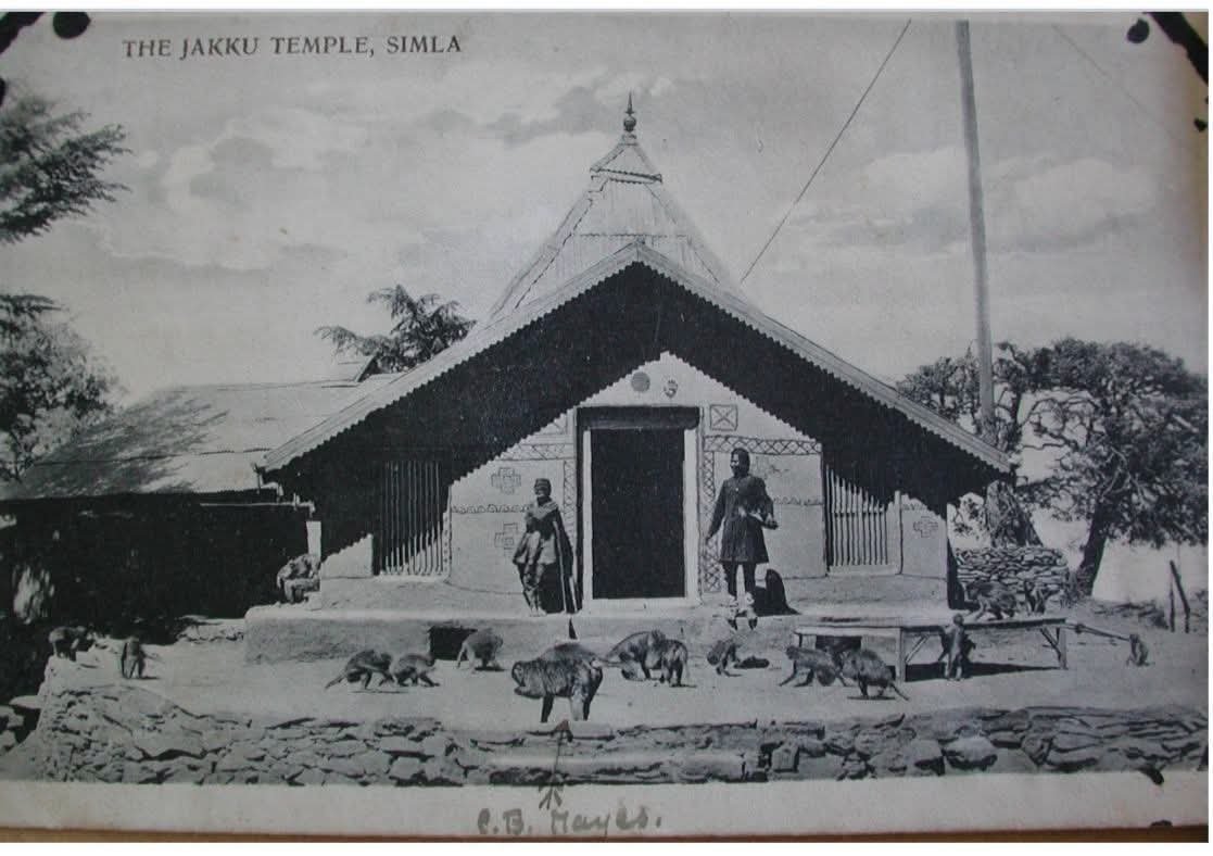 Jakhu Temple Shimla