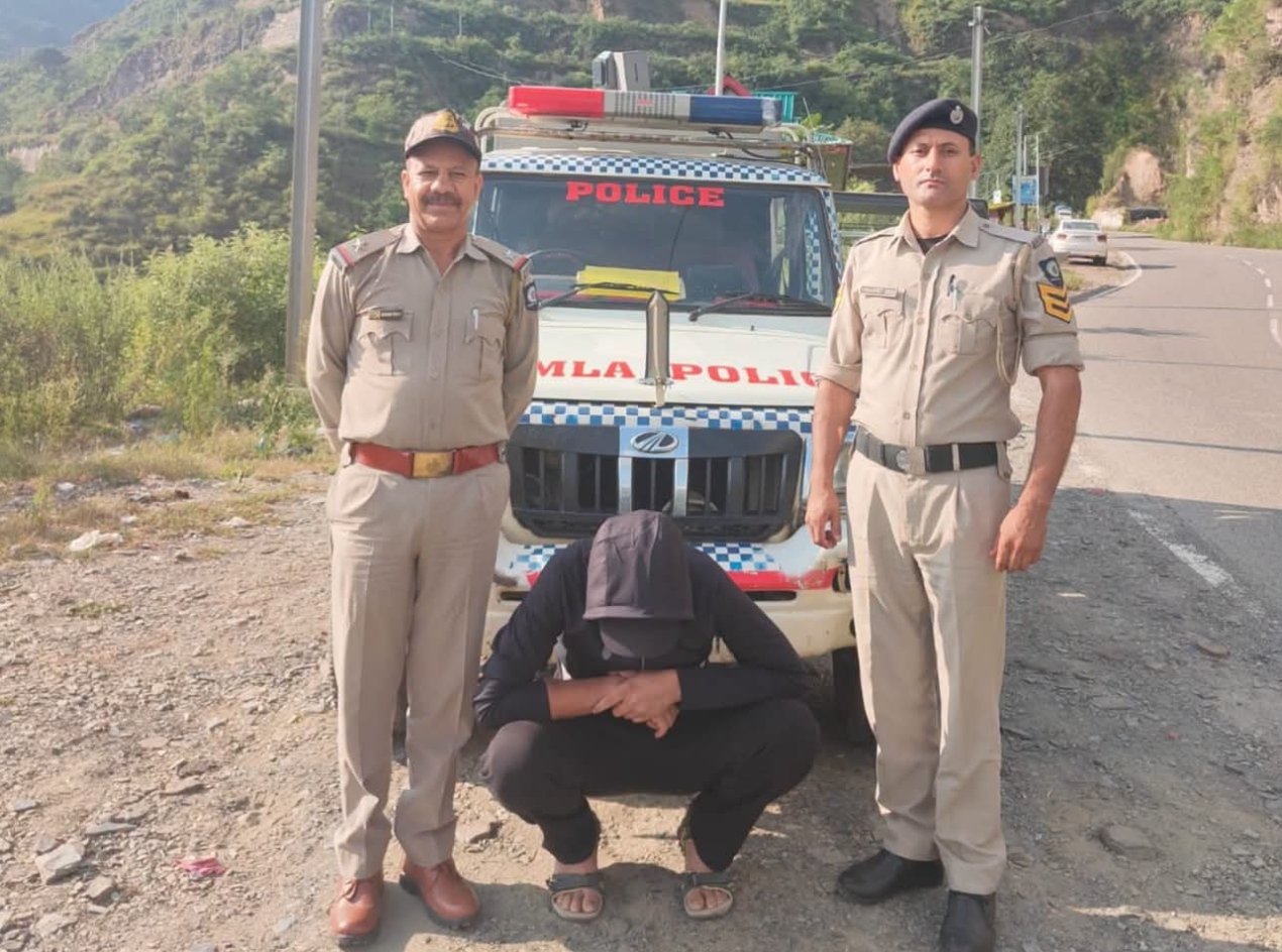 Shimla News Chitta Heroin Arrest Kotkhai