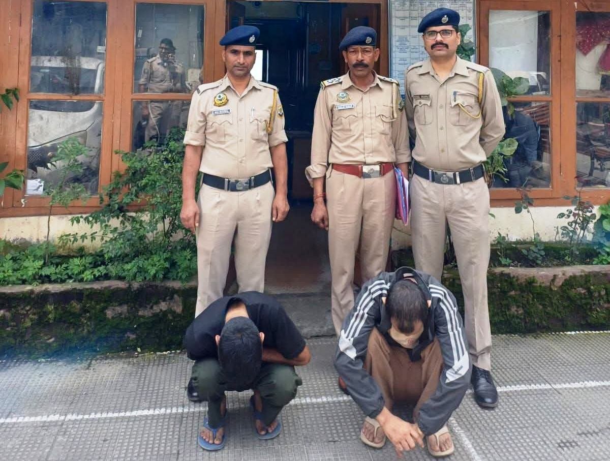Shimla News Police Action Chitta Arrest Sangti Baluganj