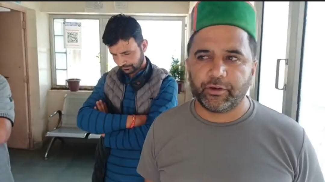 shimla news