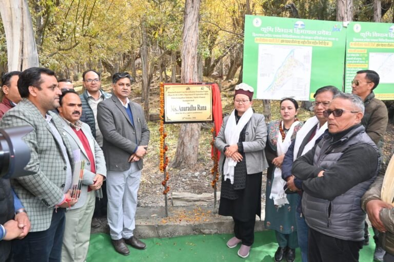 Lahaul Spiti News: तिन्नो और जोबरंग में 1.83 करोड़ की दो सिंचाई योजनाएं जनता को समर्पित, 306 किसान परिवारों को मिलेगा लाभ