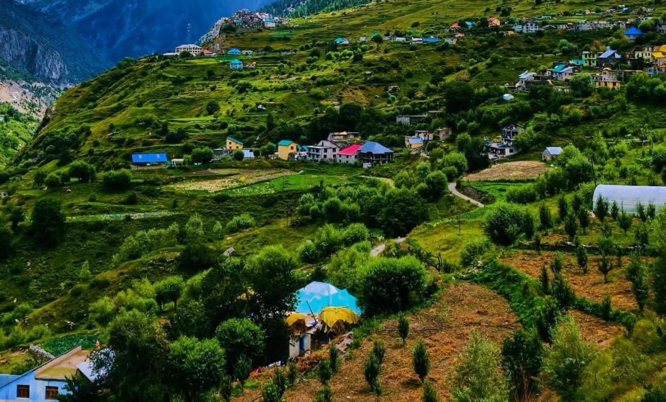 ग्राम पंचायत शकोली का ऐतिहासिक फैसला: नशा बेचने वालों पर होगा 50 हजार जुर्माना और सूचना देने वाले को मिलेंगे 15 हजार का इनाम